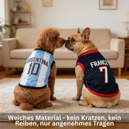 Paw Cup Jerseys