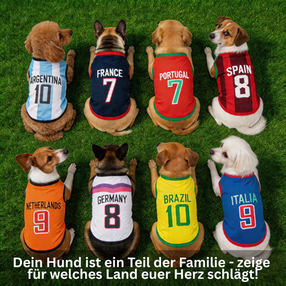 Paw Cup Jerseys