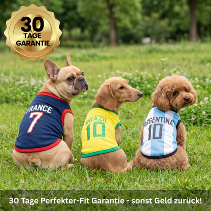 Paw Cup Jerseys
